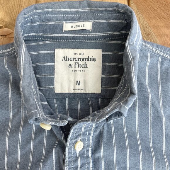 Abercrombie & Fitch Mens Muscle Shirt Button Down Moose Pinstripe M Blue - Picture 5 of 8
